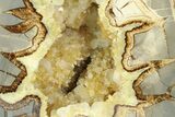 Polished, Crystal Filled Septarian Nodule - Utah #184577-2